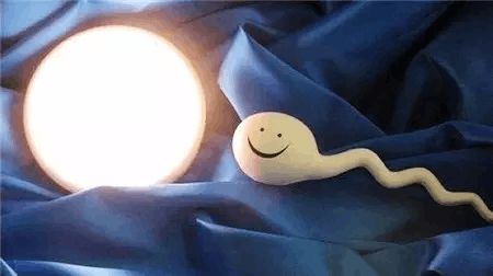 时差培养箱